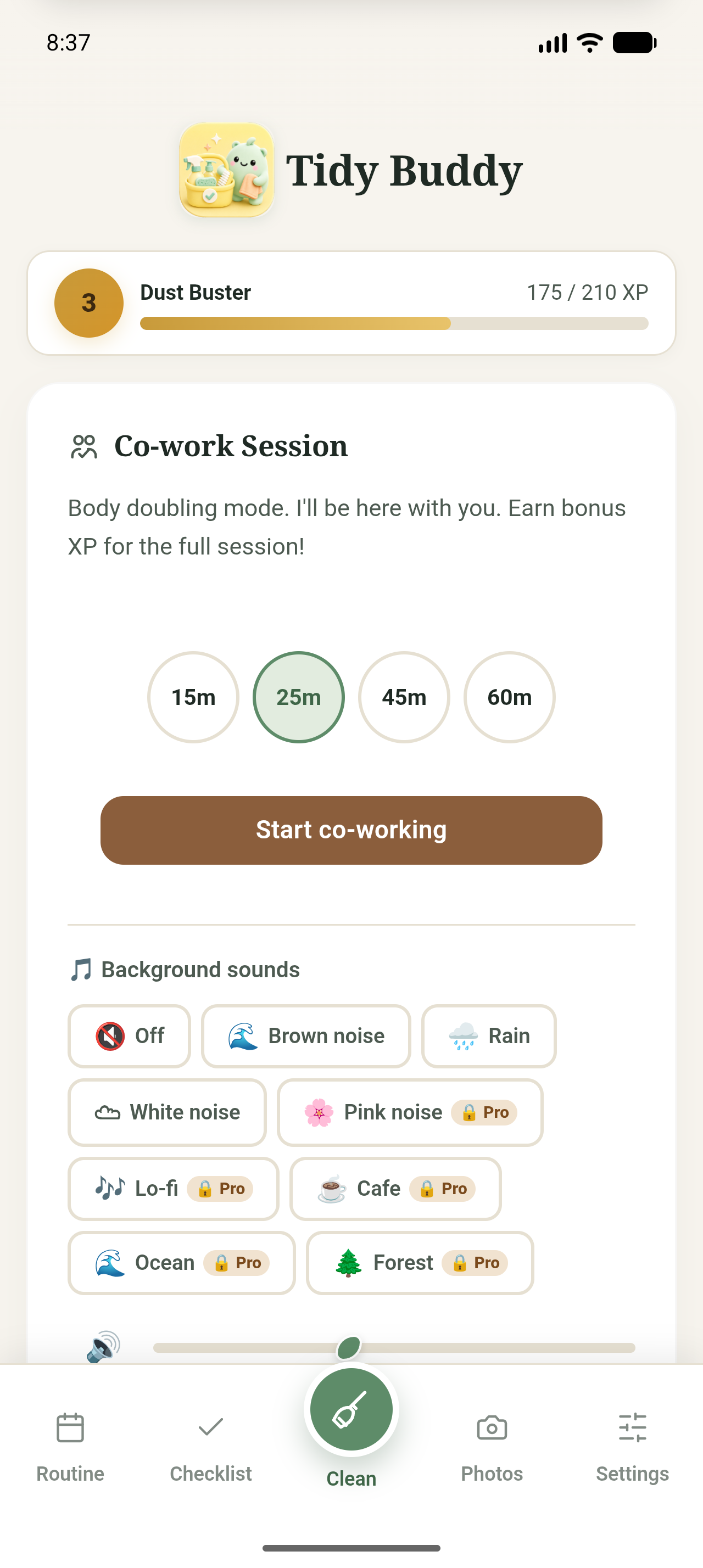 Tidy Buddy co-working screen with supportive timer